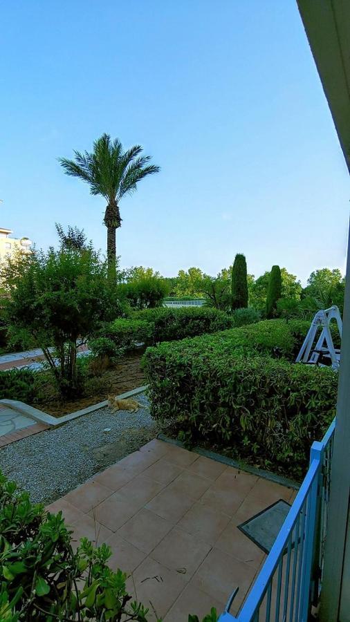 Gloriadali' أنتيب المظهر الخارجي الصورة